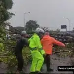 Fenomena Hujan Es di Sidoarjo: Apakah Ini Akibat Perubahan Iklim?