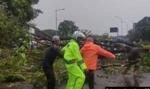 Fenomena Hujan Es di Sidoarjo: Apakah Ini Akibat Perubahan Iklim?