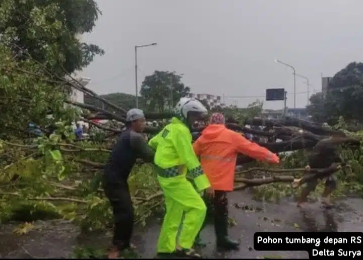 Fenomena Hujan Es di Sidoarjo: Apakah Ini Akibat Perubahan Iklim?