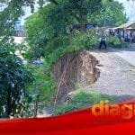 Tepi jalan melirip rowo kecamatan Tarik longsor lagi, warga inginkan perbaikan
