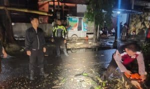 Gercep, Polisi Tangani Pohon Tumbang, Jalur Mudik Kota Kediri Kembali Lancar