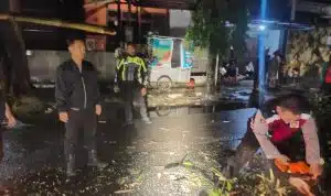 Gercep, Polisi Tangani Pohon Tumbang, Jalur Mudik Kota Kediri Kembali Lancar