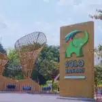 Menyambut Libur Panjang Hari Raya Waisak di Solo Safari: Edukasi dan Interaksi Satwa yang Menarik