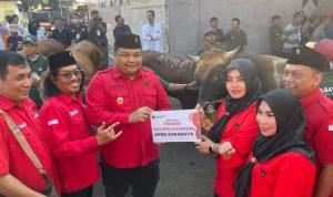 PDIP Surabaya Potong 15 Sapi saat Idul Adha, Eri Cahyadi-Armuji: Perkuat Kesolidan dan Gotong Royong