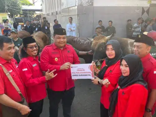 PDIP Surabaya Potong 15 Sapi saat Idul Adha, Eri Cahyadi-Armuji: Perkuat Kesolidan dan Gotong Royong