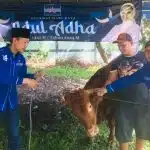 Qurban 3 Sapi Limosine, DPC Demokrat bagi ke seluruh kader se Surabaya