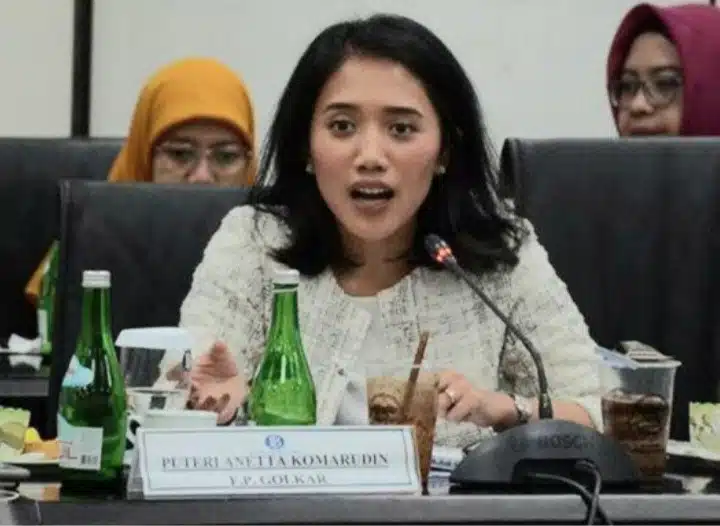 Komisi XI DPR RI Ingatkan Kesiapan Pegawai Direktorat Jenderal Pajak Untuk Operasikan Core Tax