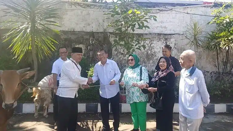 Idul Adha 2024: Unipra Surabaya Bagikan 300 Paket Daging Kurban ke Masyarakat Sekitar