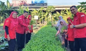Wakil Sekertaris DPC PDIP Surabaya Dukung Taman Getol Sebagai Tempat Urban Farming