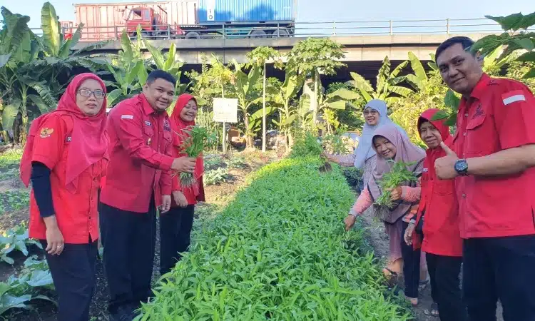 Wakil Sekertaris DPC PDIP Surabaya Dukung Taman Getol Sebagai Tempat Urban Farming