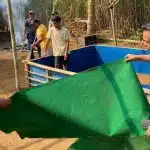 Polres Malang Bongkar Arena Sabung Ayam di Dua Lokasi