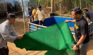 Polres Malang Bongkar Arena Sabung Ayam di Dua Lokasi