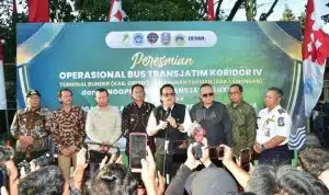 Ketua komisi d