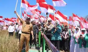 Meriahkan HUT RI ke-79, 1.000 Bendera Berkibar di Puncak Kawah Wurung Bondowoso