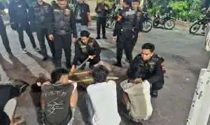 Polisi