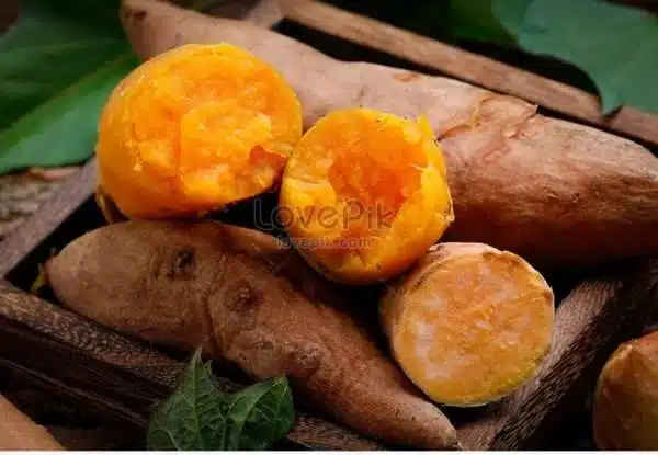 Ketela rambat