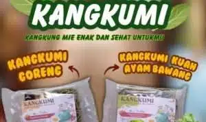 Mahasiswa Unair Ciptakan Inovasi Mie Sehat Berbahan Kangkung, Lolos Pendanaan P2MW 2024