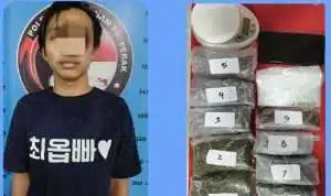 Ganja Hampir 500 Gram Disita, Pengedar di Putat Jaya Diringkus Polres Tanjung Perak