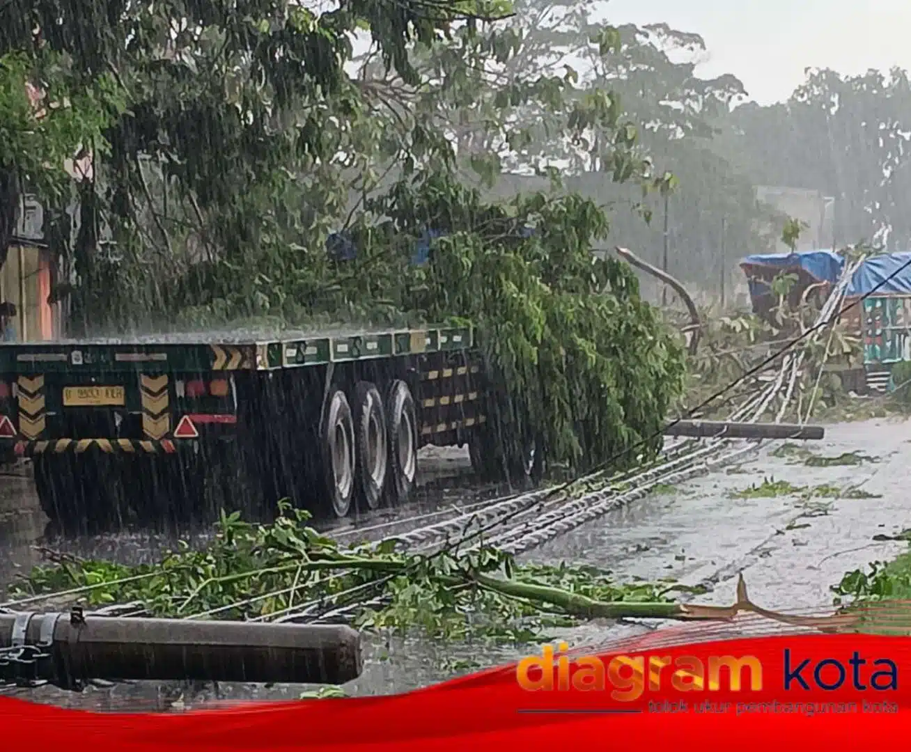 Pohon Tumbang Akibat Hujan Disertai Angin Kencang di Sidoarjo