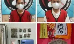 Jaringan Ganja Surabaya Terbongkar, Polrestabes Surabaya Buru Pemasok Utama
