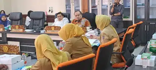 Peresmian RS Eka Candrarini, Bang Jo Soroti Pengelolaan Instalasi Limbah