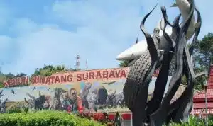 5EACB3EC 36AE 405E 834A A5654E97F433