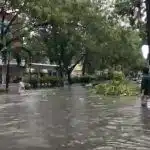 Banjir Surabaya Barat, Ketua Komisi C Soroti Sistem Drainase dan Kesadaran Sampah