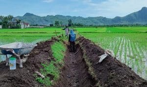 Desa Wajak Lor Boyolangu, Fokus Pembangunan Saluran Irigasi Pertanian