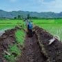 Desa Wajak Lor Boyolangu, Fokus Pembangunan Saluran Irigasi Pertanian