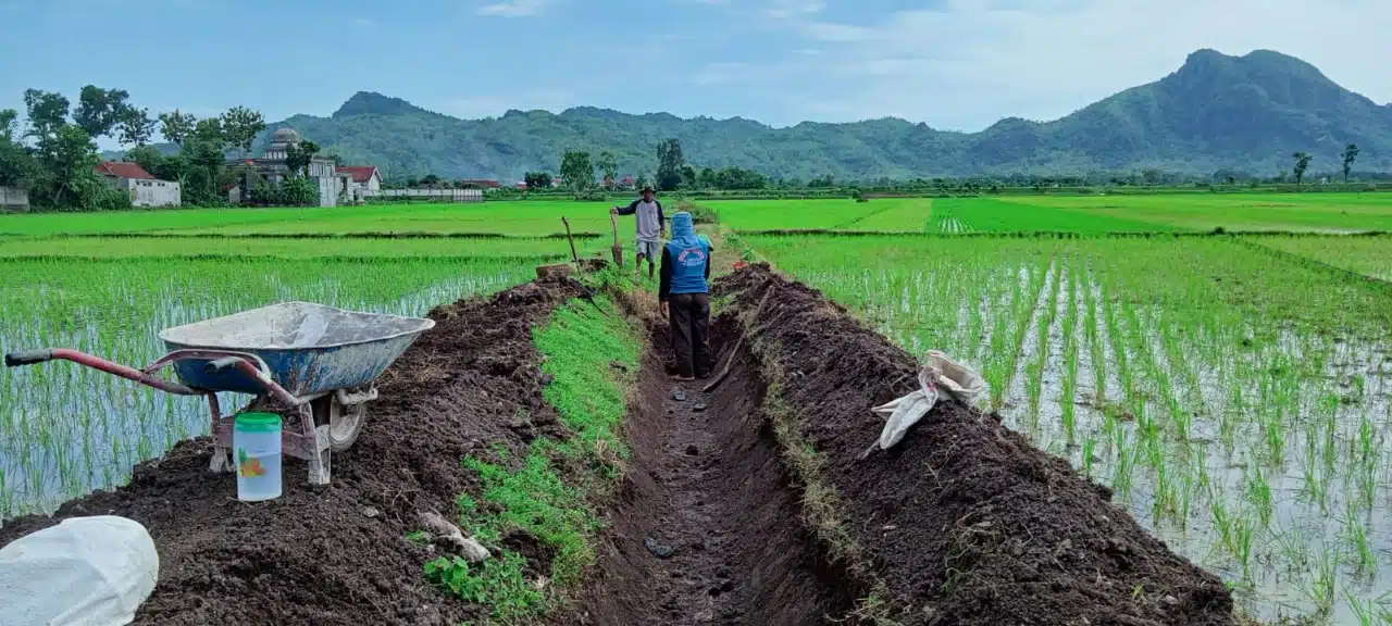 Desa Wajak Lor Boyolangu, Fokus Pembangunan Saluran Irigasi Pertanian