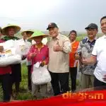 IMG 20241212 202009