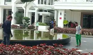 Aplikasi pemburu koin