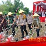 Polri Dukung Swasembada Pangan Nasional: Tanam Jagung 1 Juta Hektare di Sidoarjo