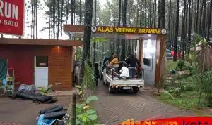 Alas Veenuz Trawas Ramai Pengunjung Saat Libur Panjang, Pengelola Fokus Kebersihan dan Kenyamanan