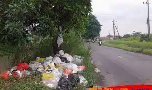 Resah dengan Tumpukan Sampah di Jalan Anggaswangi, DLHK Akan Pasang CCTV