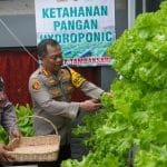 Polsek Tambaksari Tunjukkan Inovasi Pertanian Hidroponik, Kapolrestabes Surabaya Panen Perdana