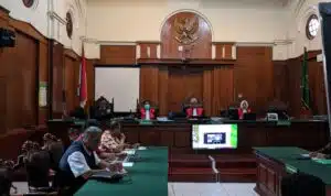 IMG 20250219 115251