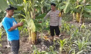IMG 20250322 WA0005