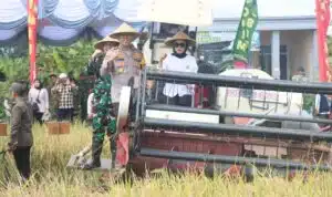 Forkopimda Sidoarjo Ikuti Panen Raya Serentak Nasional di 14 Provinsi