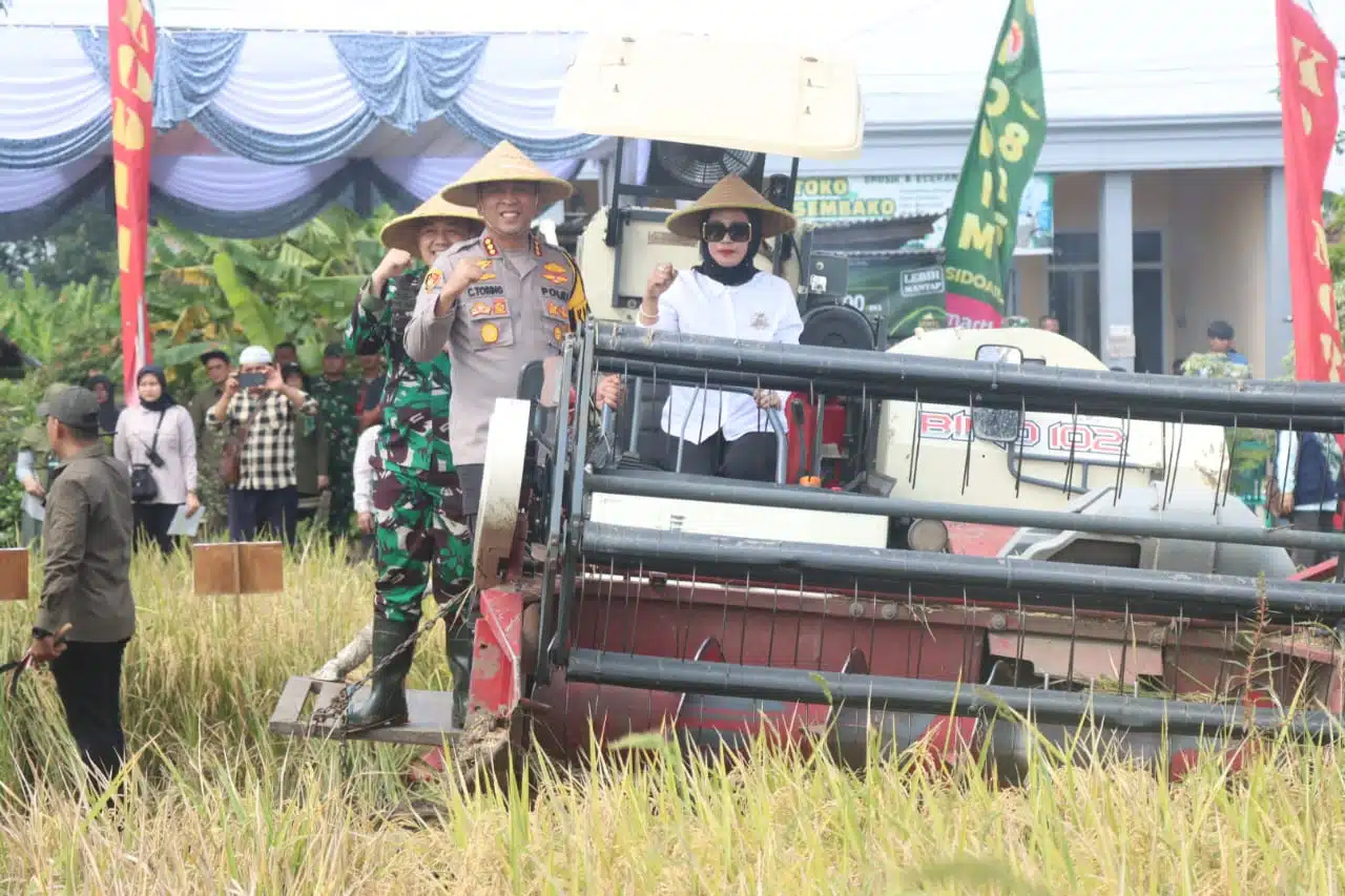 Forkopimda Sidoarjo Ikuti Panen Raya Serentak Nasional di 14 Provinsi