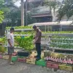 Warga Perum MCG Giatkan Tanaman Hidroponik, Disambut Baik Bhabinkamtibmas Desa Larangan