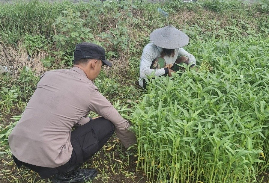 Bhabinkamtibmas Desa Sumberejo Dukung Warga Manfaatkan Pekarangan untuk Ketahanan Pangan