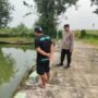 Peningkatan Kualitas Perawatan Ikan Nila di Desa Pademonegoro Lebih Diperhatikan dalam Program Ketahanan Pangan