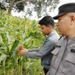 Kapolsek Sedati Masifkan Patroli Desa, Dukung Ketahanan Pangan Warga