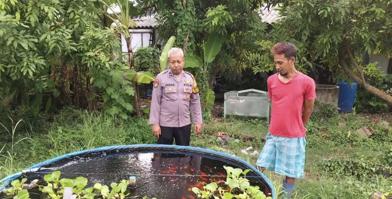 Topang Ketahanan Pangan, Bhabinkamtibmas Apresiasi Budidaya Ikan Gurami di Kedungpeluk