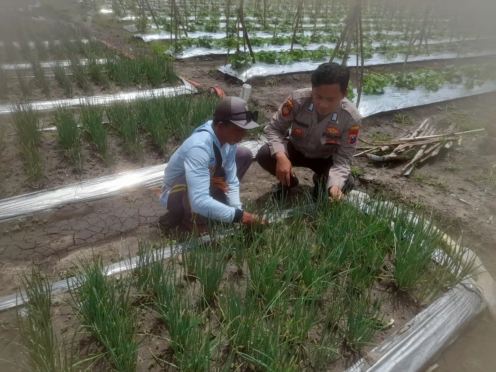 Bhabinkamtibmas Desa Bulang bersama warga kompak dukung ketahanan pangan 