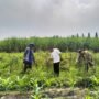 Bhabinkamtibmas Desa Gamping Turun ke Sawah, Perkuat Sinergi dan Ketahanan Pangan Warga