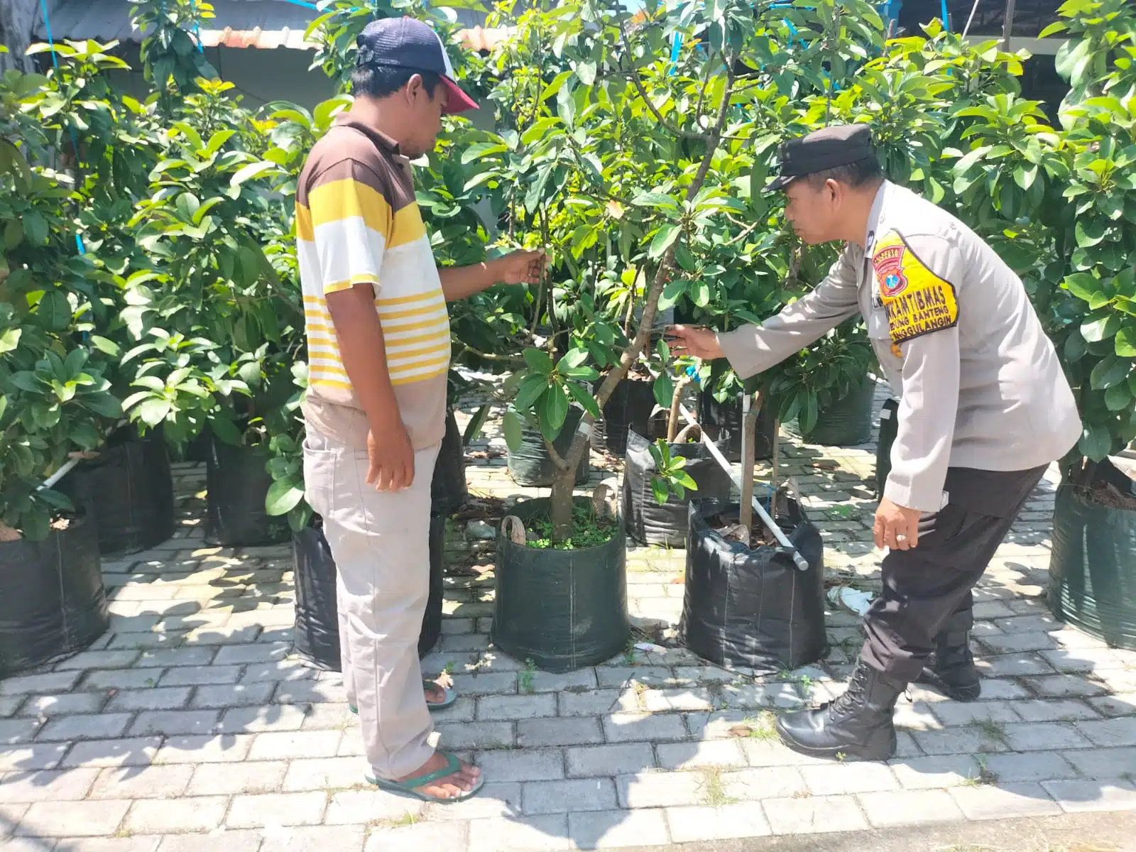 Polsek Tanggulangin Tinjau Ketahanan Pangan Lewat Patroli Sambang Desa