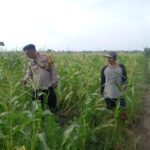 IMG 20250423 WA0014
