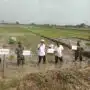 Tiga Pilar Desa Gelang Kompak Dukung Ketahanan Pangan Nasional Lewat Penanaman Padi Serentak